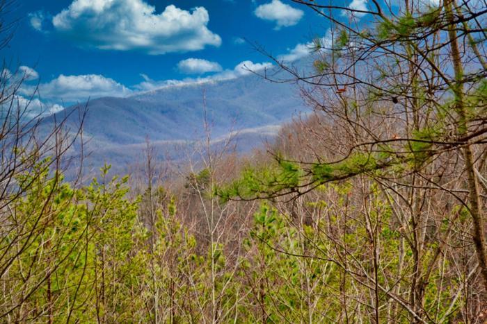 Mountain Love Nest جاتلينبرج المظهر الخارجي الصورة