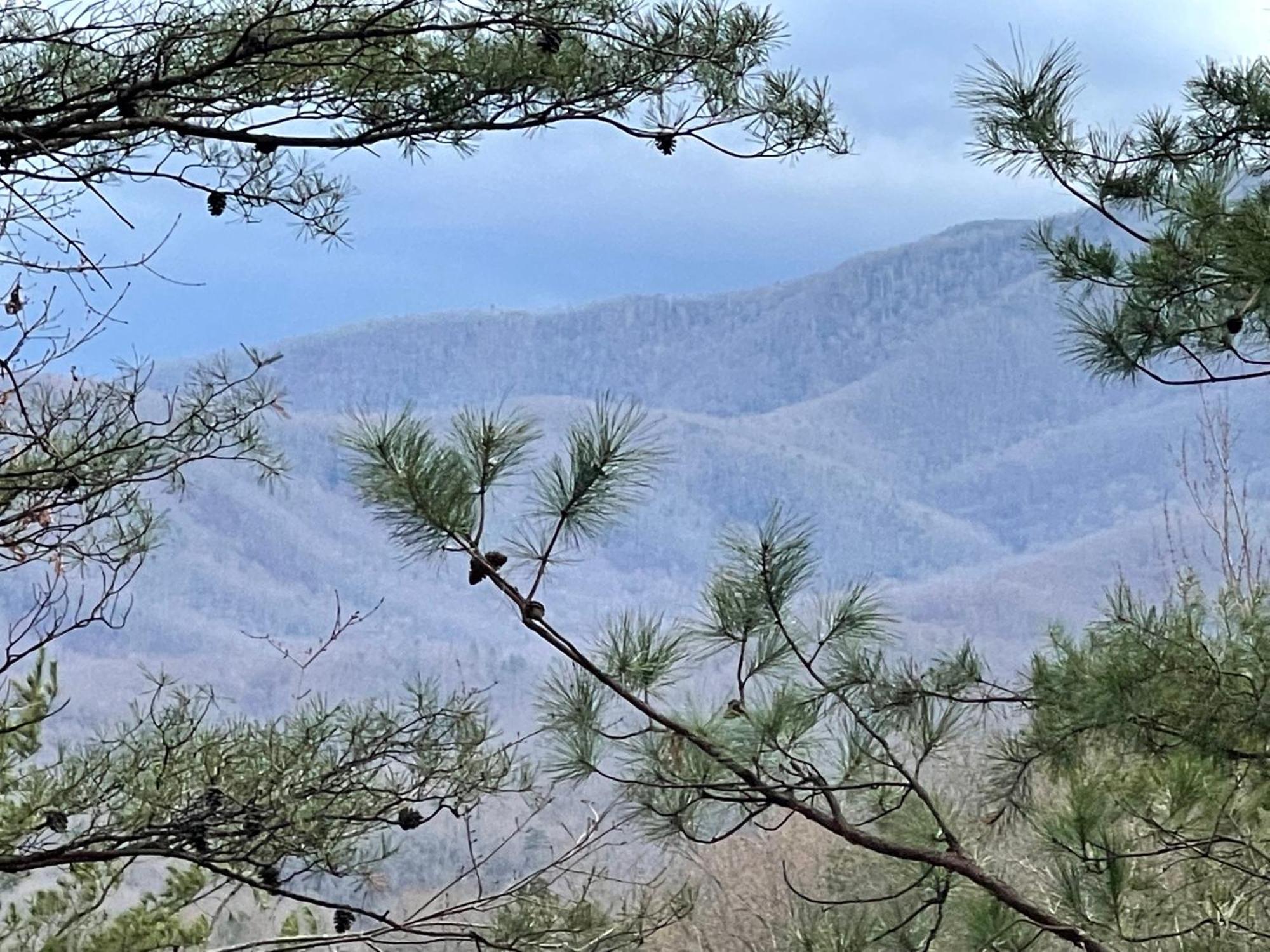 Mountain Love Nest جاتلينبرج المظهر الخارجي الصورة